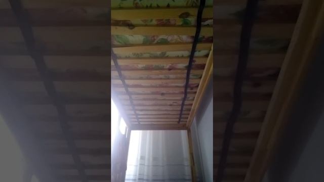 Делаем паспорт для кота !!! смотреть онлайн