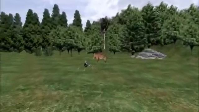 6+1 MAGNUM (1 Slug + 6 Pellets) φυσιγγια για αγριογουρουνα.mp4 смотреть онлайн