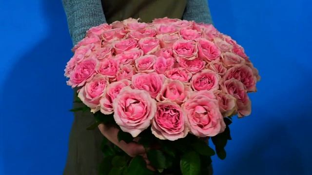 Букет из 45 розовых роз 70см
