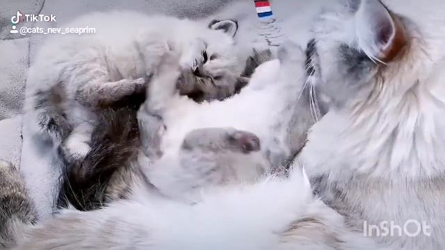Я могу также, как мама... смотреть онлайн