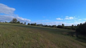 Здесь был Дмитрий Мусихин! Поиск монет с металлоискателем Equinox 600