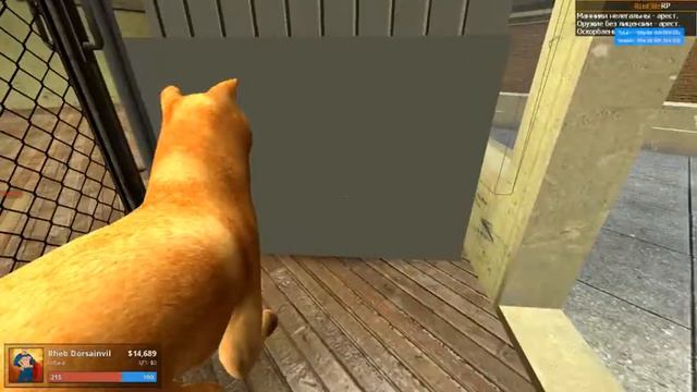 играем с подписчиками в GARRY'S MOD (DarkRP) смотреть онлайн