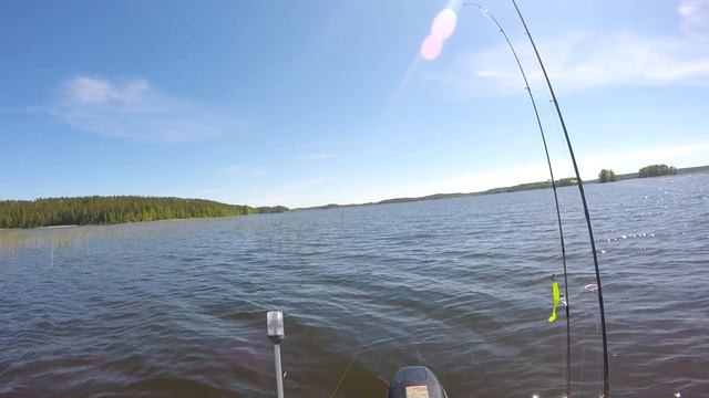 Ловля щуки на джеркбейты. Первая рыбалка лета 2017. Куда подевалась вся рыба? смотреть онлайн