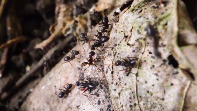 Стройка Движения