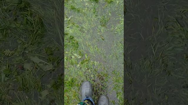Болото смотреть онлайн