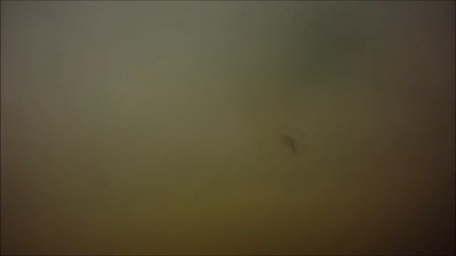 Зимняя Рыбалка на Чудском озере