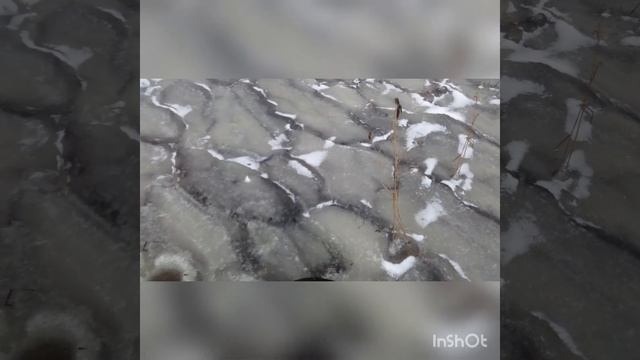 открытие сезона твердой воды 2020-2021.ловля щуки на балансир. смотреть онлайн