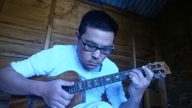 The Way You Look Tonight - Kala baritone ukulele смотреть онлайн