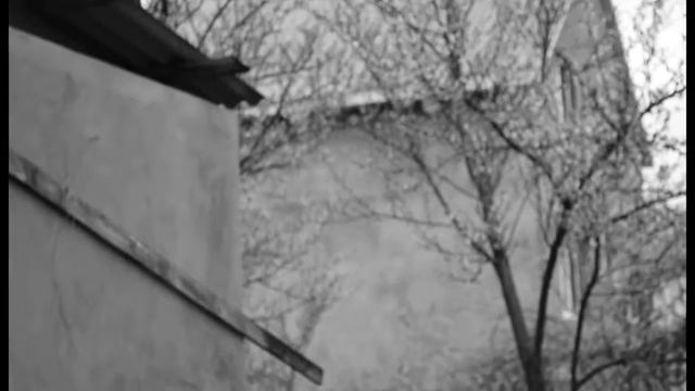 Гармоника тремола и Весна смотреть онлайн