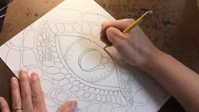 Dragon Eye Sketching & Tracing смотреть онлайн