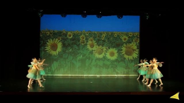 BALLET INICIANTE 2020 I TUDO FLORESCEU...A CONSTRUÇÃO DE UM PROJETO LINDO смотреть онлайн