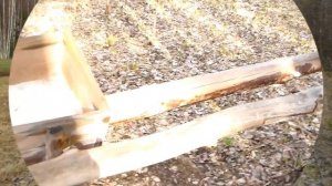 Солонец для косули 2020