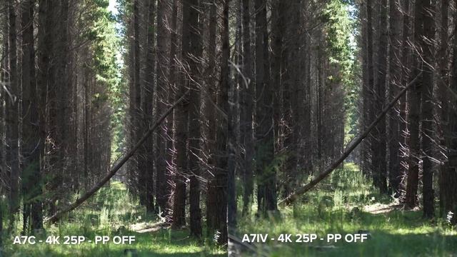 Sony A7C vs A7IV - Which one should you buy? смотреть онлайн