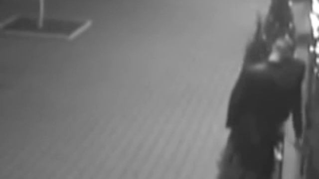 Парни воруют гирлянды с елок в Ростове-на-Дону смотреть онлайн