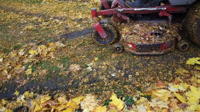 MULCHING YOUR GARDEN: WHAT to use and HOW to use it смотреть онлайн
