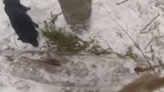 Тугай куница смотреть онлайн