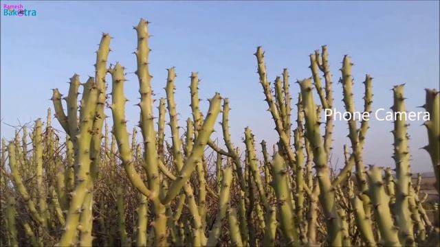 Samsung J3 Pro Full Review and Unboxing смотреть онлайн