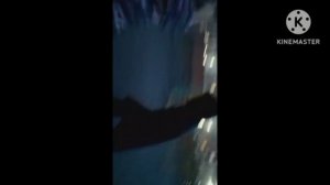 БОЕВИК     СИРИЯ/США     ВОЙНАААА