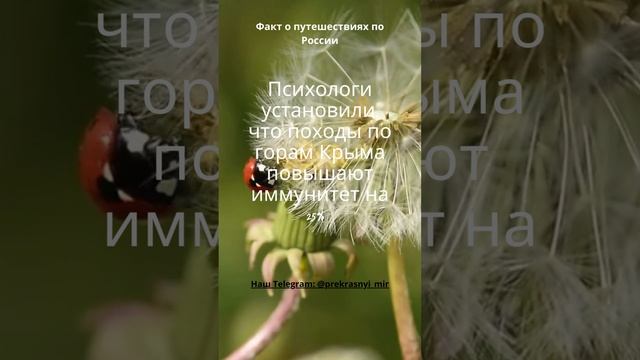 Путешествия по России смотреть онлайн