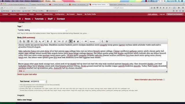 CkEditor Horizontal Line - Luggage смотреть онлайн