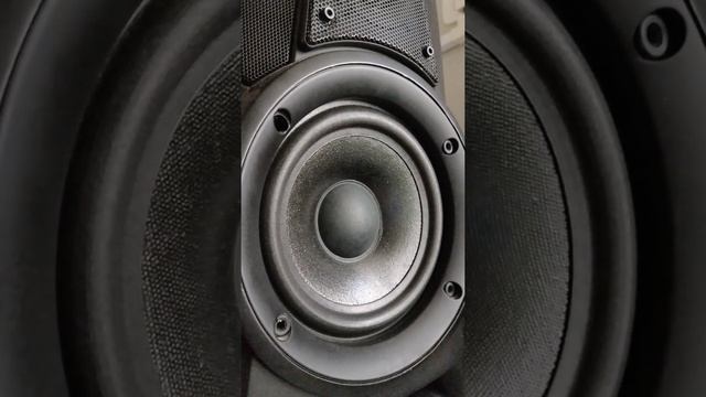 Sony SS-W550G смотреть онлайн