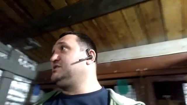 Породы и линии в кролиководстве смотреть онлайн