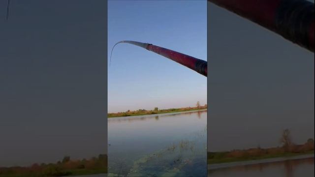 ловля окуня на поплавок смотреть онлайн