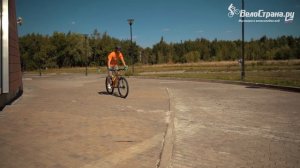 Препятствия на велосипеде // Как заехать на бордюр? Как перепрыгнуть бревно?