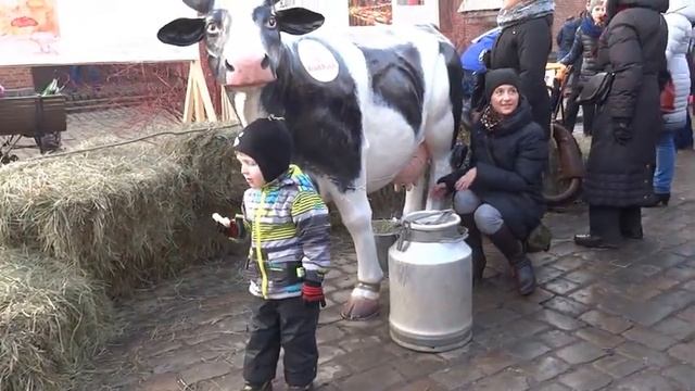 На празднике длинной колбасы доили корову смотреть онлайн