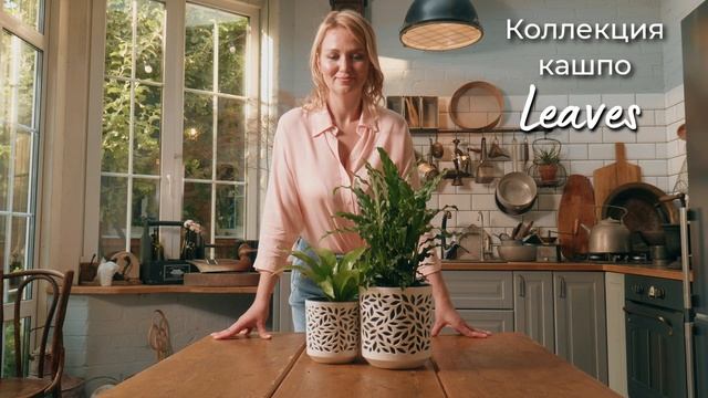 Коллекция "Leaves" смотреть онлайн