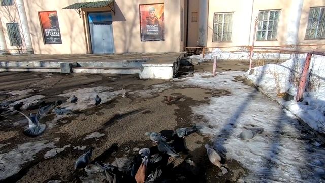 Монгохто✈ Для вас свобода высота...? смотреть онлайн