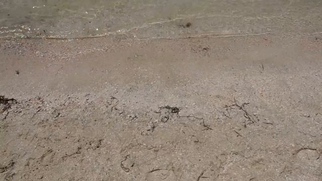 VLOG:Еду на остров Бирючий смотреть онлайн