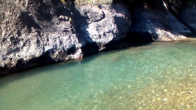 Bolshaya Laba River. Река Большая Лаба. смотреть онлайн