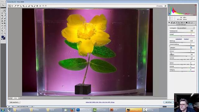 6.Стоковая фотография. Как необычно и красиво фотографировать цветы в воде смотреть онлайн