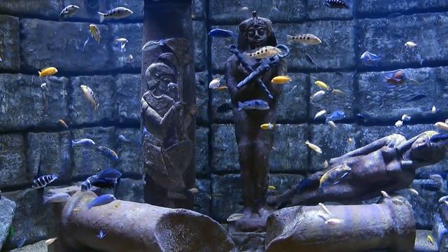 Разговоры с коллекторами, мфо. Антиколлектор, микрофинансы, долги. смотреть онлайн