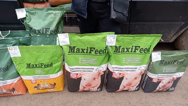 Свежие цены на рынке на поросят. смотреть онлайн