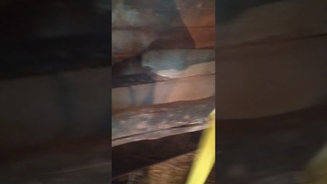 купил телят монбельярдов в долг смотреть онлайн