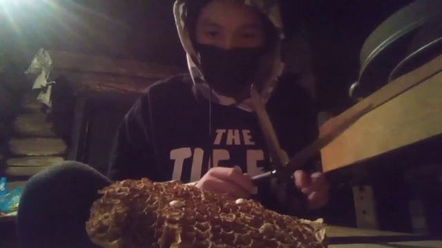 СЛОМАЛ ГНЕЗДО ШЕРШНЕЙ! смотреть онлайн