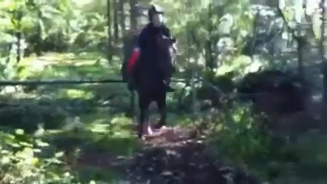 Goldi смотреть онлайн