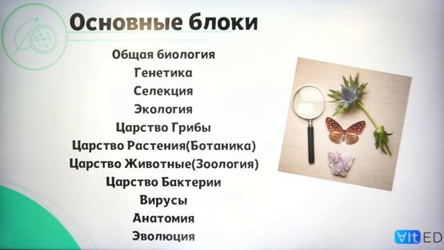 Как сдать ЕГЭ по БИОЛОГИИ на 90+ баллов? Простые советы смотреть онлайн