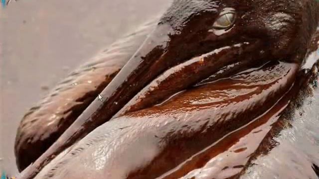 Презентация твори добро смотреть онлайн