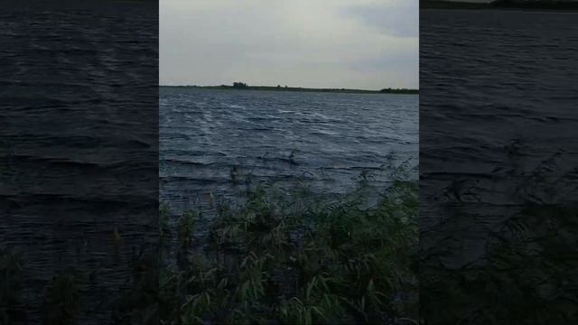 Спортивный лагерь 2020 смотреть онлайн