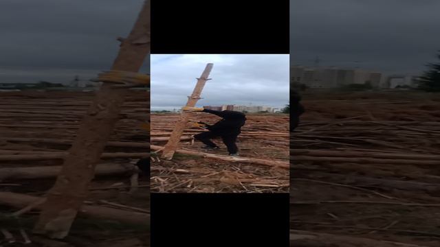 Развлекаемся как можем на работе