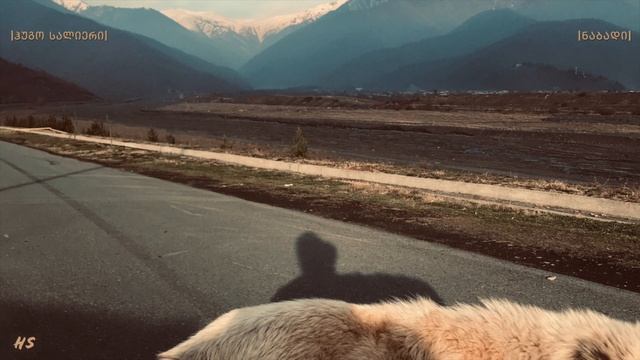 ნაბადი / Nabadi