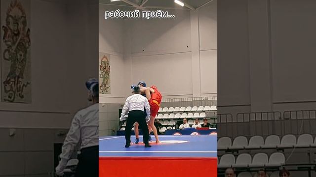 Ушу-саньда,  Moscow Wushu Stars,  рабочая схема