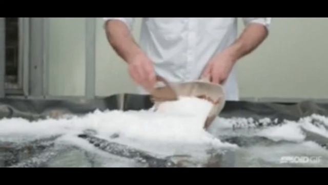 Чем отличается поваренная соль от морской. смотреть онлайн