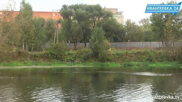 Зачем вырубили все деревья возле Учи между двух мостов смотреть онлайн