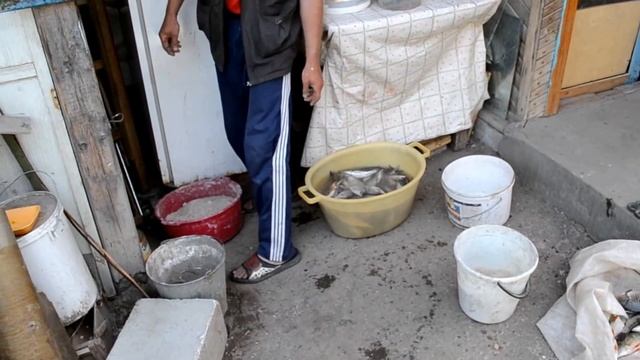 Вяление воблы смотреть онлайн