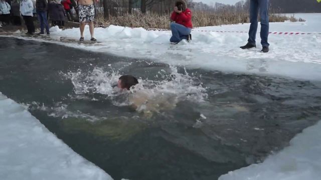 Липецкие МОРЖИ-защитники смотреть онлайн