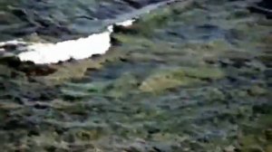 пгт.  Ракушка, 1994 год.